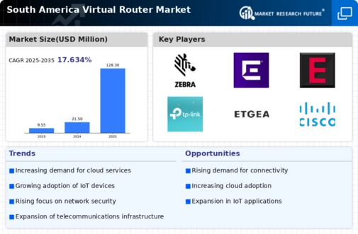 South America Virtual Router Market Infographic