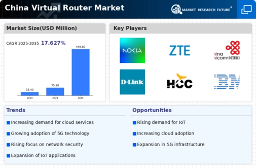 China Virtual Router Market Infographic