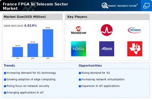 France Fpga In Telecom Sector Market Infographic