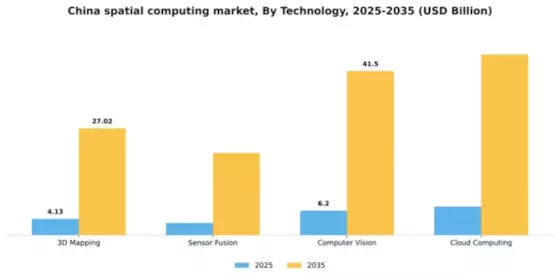 China Spatial Computing Market Segment Image 3
