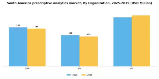 South America Prescriptive Analytics Market Segment Image 4
