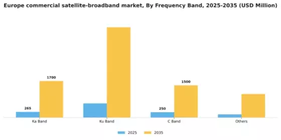 Europe Commercial Satellite Broadband Market Segment Image 2