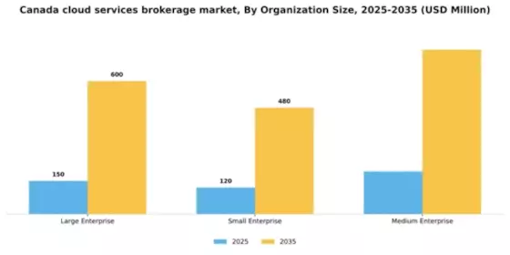Canada Cloud Services Brokerage Market Segment Image 1