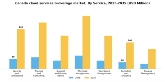 Canada Cloud Services Brokerage Market Segment Image 3