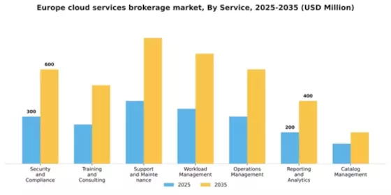 Europe Cloud Services Brokerage Market Segment Image 3