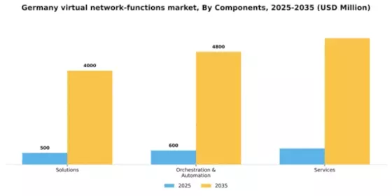 Germany Virtual Network Functions Market Segment Image 1
