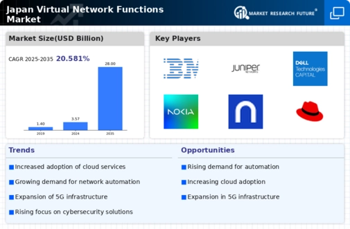 Japan Virtual Network Functions Market Infographic