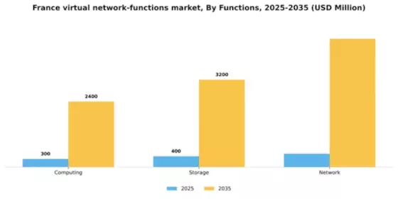 France Virtual Network Functions Market Segment Image 3