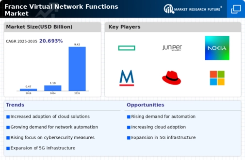 France Virtual Network Functions Market Infographic