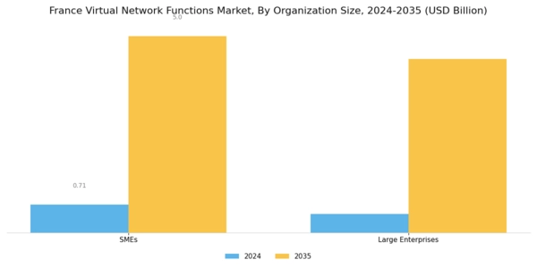 France Virtual Network Functions Market Segment Image 3