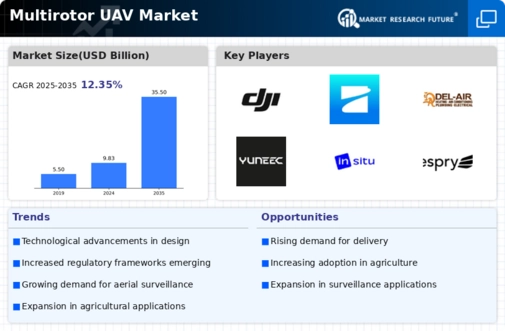 Multirotor UAV Market Infographic