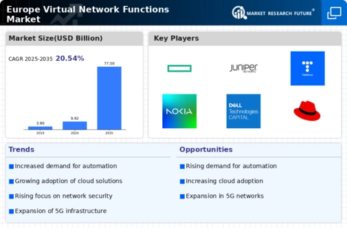 Europe Virtual Network Functions Market Infographic