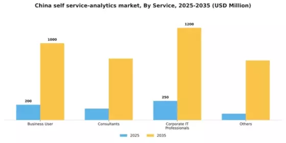China Self Service Analytics Market Segment Image 3