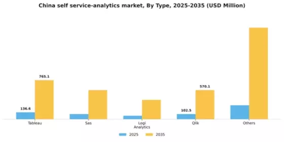 China Self Service Analytics Market Segment Image 4