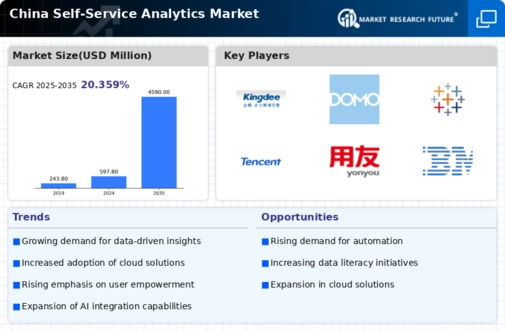 China Self Service Analytics Market Infographic