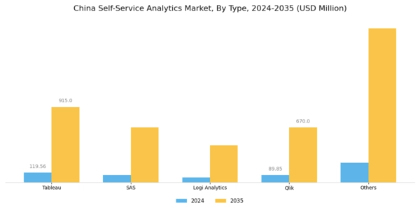China Self Service Analytics Market Segment Image 0
