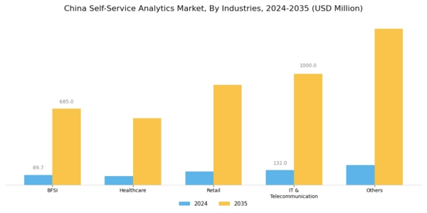 China Self Service Analytics Market Segment Image 4