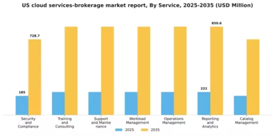 US Cloud Services Brokerage Market Segment Image 3