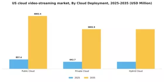 US Cloud Video Streaming Market Segment Image 0