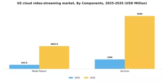 US Cloud Video Streaming Market Segment Image 1