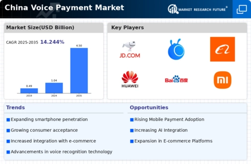 China Voice Payment Market Infographic