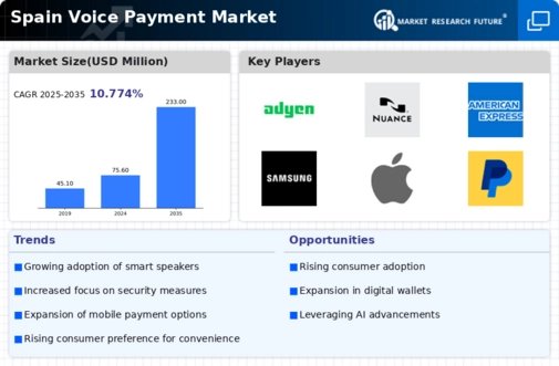 Spain Voice Payment Market Infographic