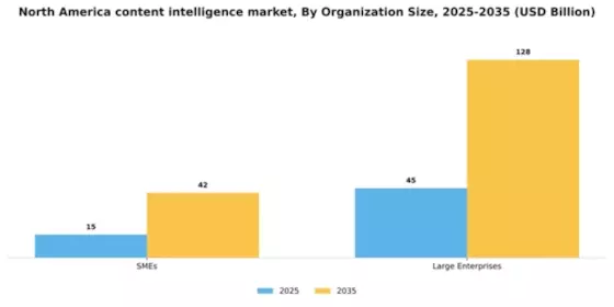 North America Content Intelligence Market Segment Image 2