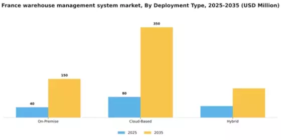 France Warehouse Management System Market Segment Image 0