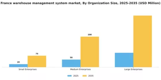 France Warehouse Management System Market Segment Image 3