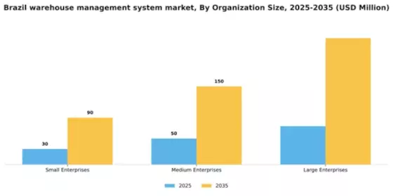 Brazil Warehouse Management System Market Segment Image 3