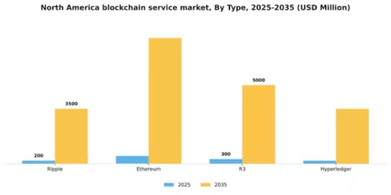 North America Blockchain Service Market Segment Image 4