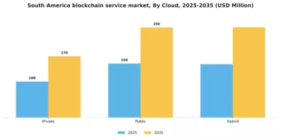 South America Blockchain Service Market Segment Image 1