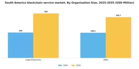 South America Blockchain Service Market Segment Image 3