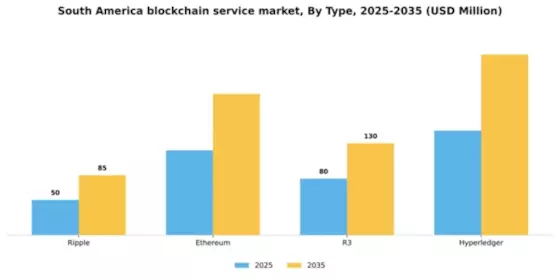 South America Blockchain Service Market Segment Image 4