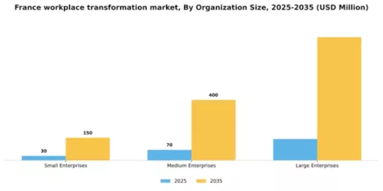 France Workplace Transformation Market Segment Image 0