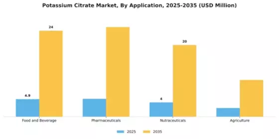 Potassium Citrate Market Segment Image 0