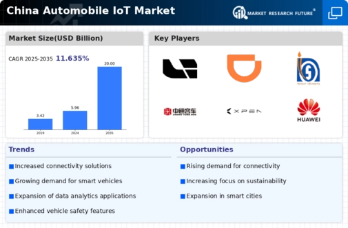 China Automobile Iot Market Infographic