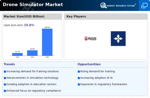Drone Simulator Market Infographic