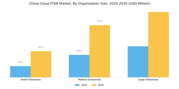 China Cloud Itsm Market Segment Image 2