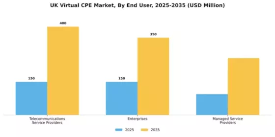 UK Virtual cpe Market Segment Image 1