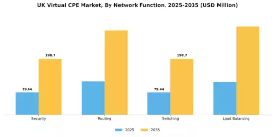 UK Virtual cpe Market Segment Image 2