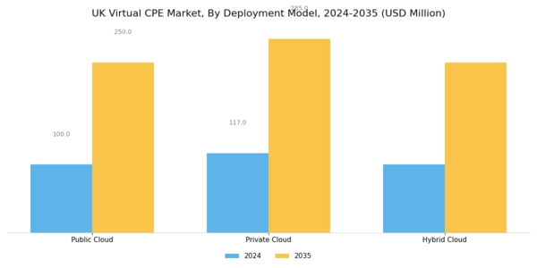 UK Virtual cpe Market Segment Image 1