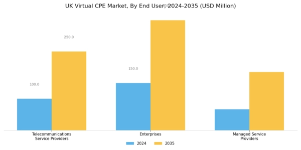 UK Virtual cpe Market Segment Image 2