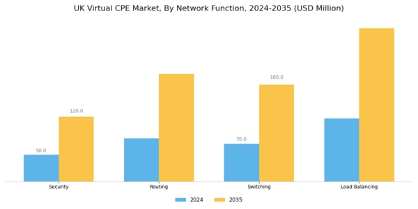UK Virtual cpe Market Segment Image 3
