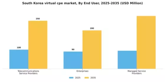 South Korea Virtual cpe Market Segment Image 1