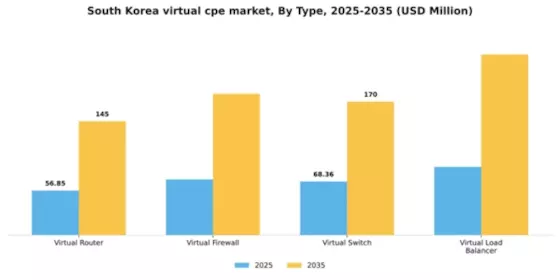 South Korea Virtual cpe Market Segment Image 3