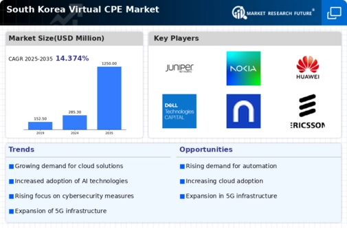 South Korea Virtual cpe Market Infographic