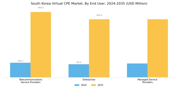 South Korea Virtual cpe Market Segment Image 2
