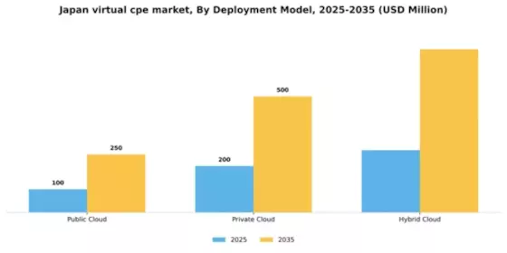 Japan Virtual cpe Market Segment Image 0