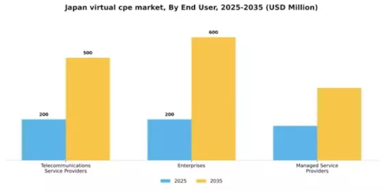 Japan Virtual cpe Market Segment Image 1